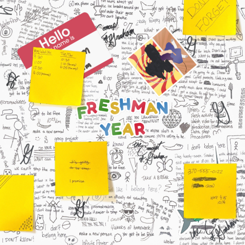 Freshman Year album cover